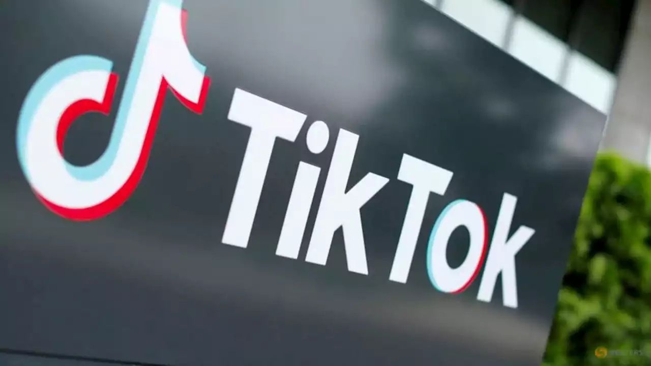 TikTok CEO says company at 'pivotal' moment as some US lawmakers seek ban