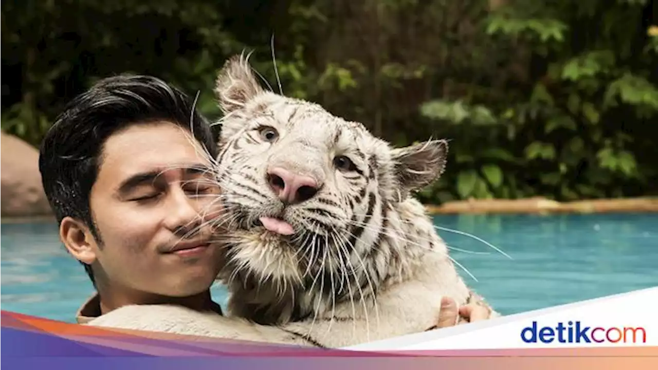 4 Sumber Kekayaan Alshad Ahmad yang Pernah Nikah Siri dengan Nissa Asyifa