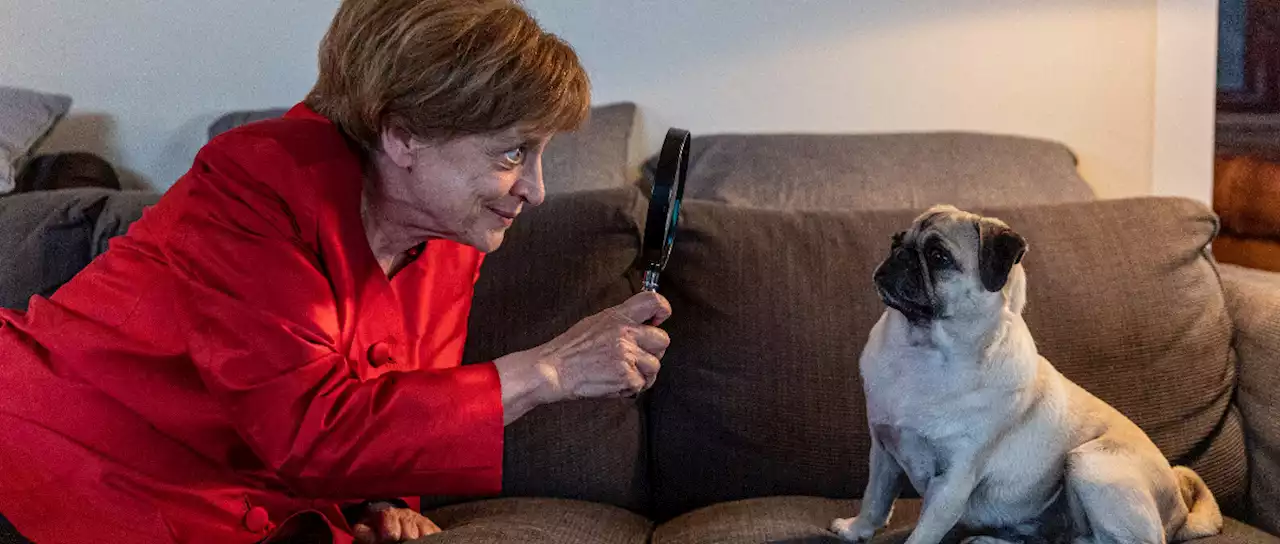 'Miss Merkel' bei RTL: Kanzlerinnennotdurft mit Mops - DWDL.de