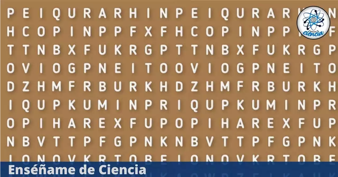 Acertijo visual de la palabra “AMÉRICA” ¿Podrás encontrarla en tiempo récord en la sopa de letras?