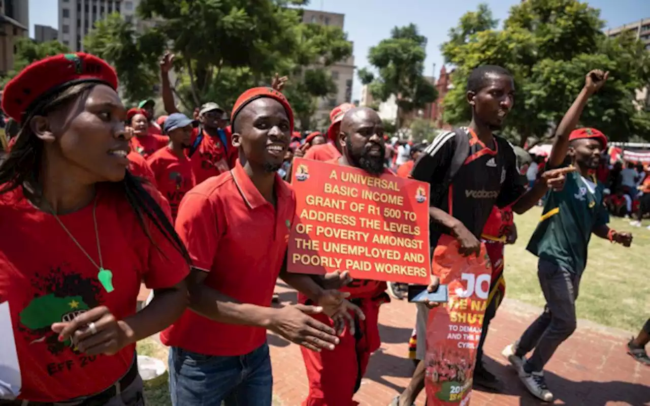 Despite economic hit, political impact of EFF shutdown was minimal - economists