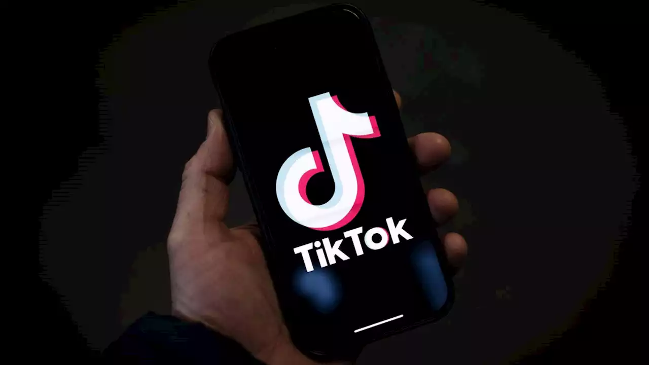 TikTok's CEO Has a Message for Congress: America Needs This App