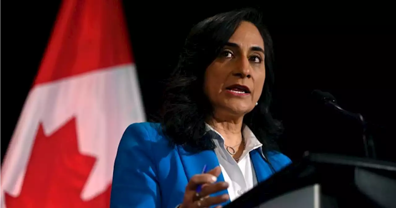 Ottawa must ‘recapitalize’ the Canadian Armed Forces, Anand says ahead of budget - National | Globalnews.ca