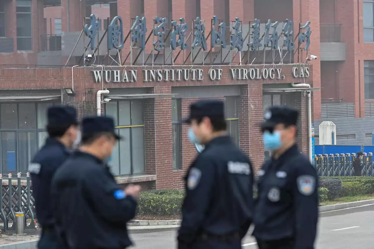 Chinese COVID-19 data from Wuhan animal market gives clues on origins, report says