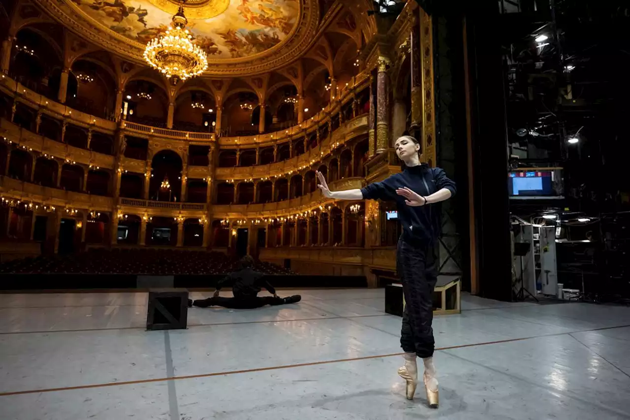 Ukrainian ballerina uprooted by war flies high again in Swan Lake