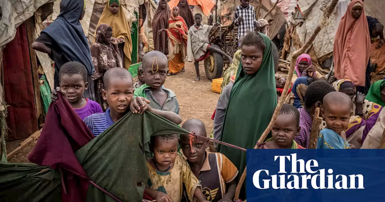 Drought caused 43,000 ‘excess deaths’ in Somalia last year, half of them young children