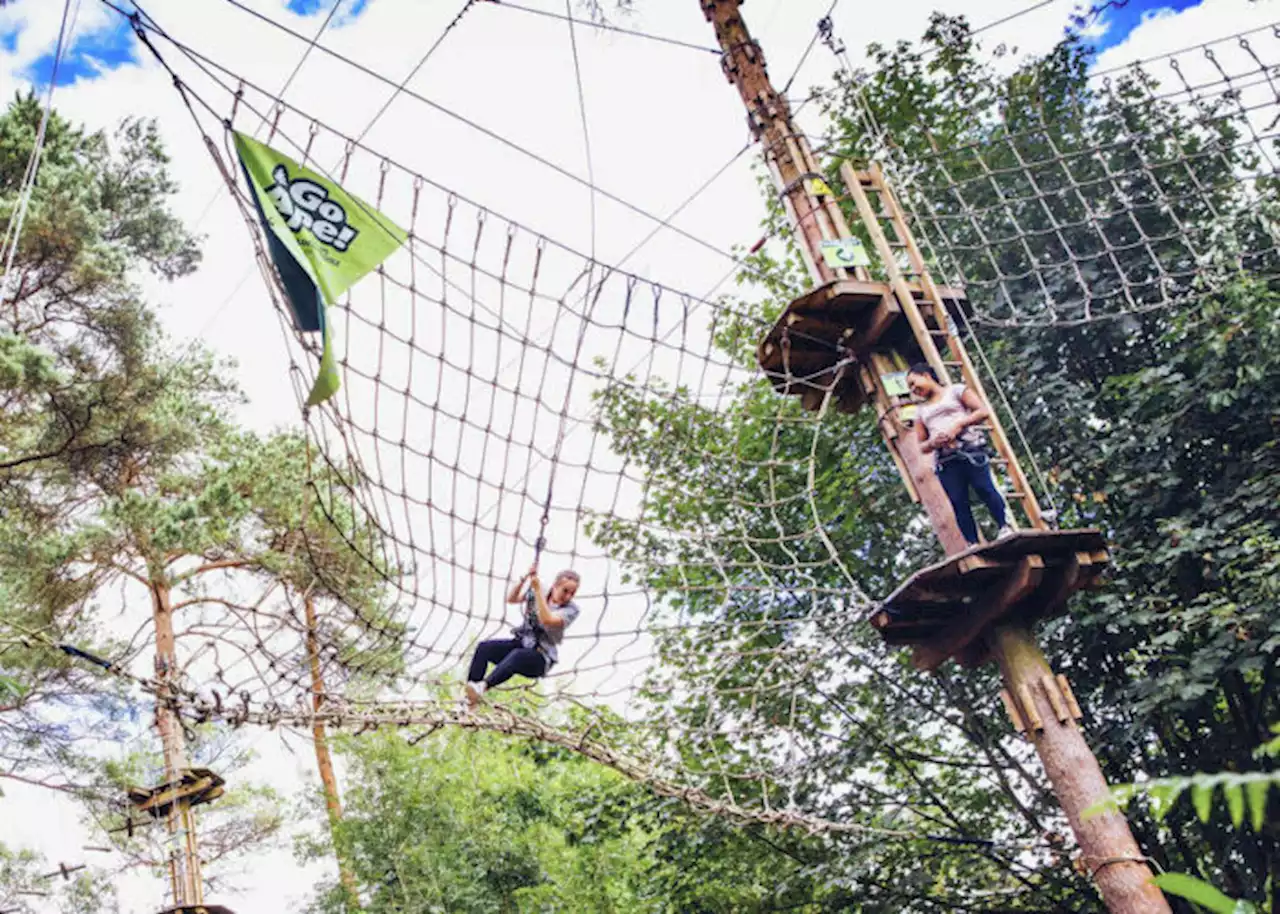 Go Ape attraction brings ziplining to Sugar Land