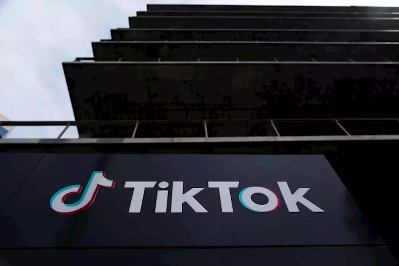 TikTok updates rules; CEO on charm offensive for US hearing