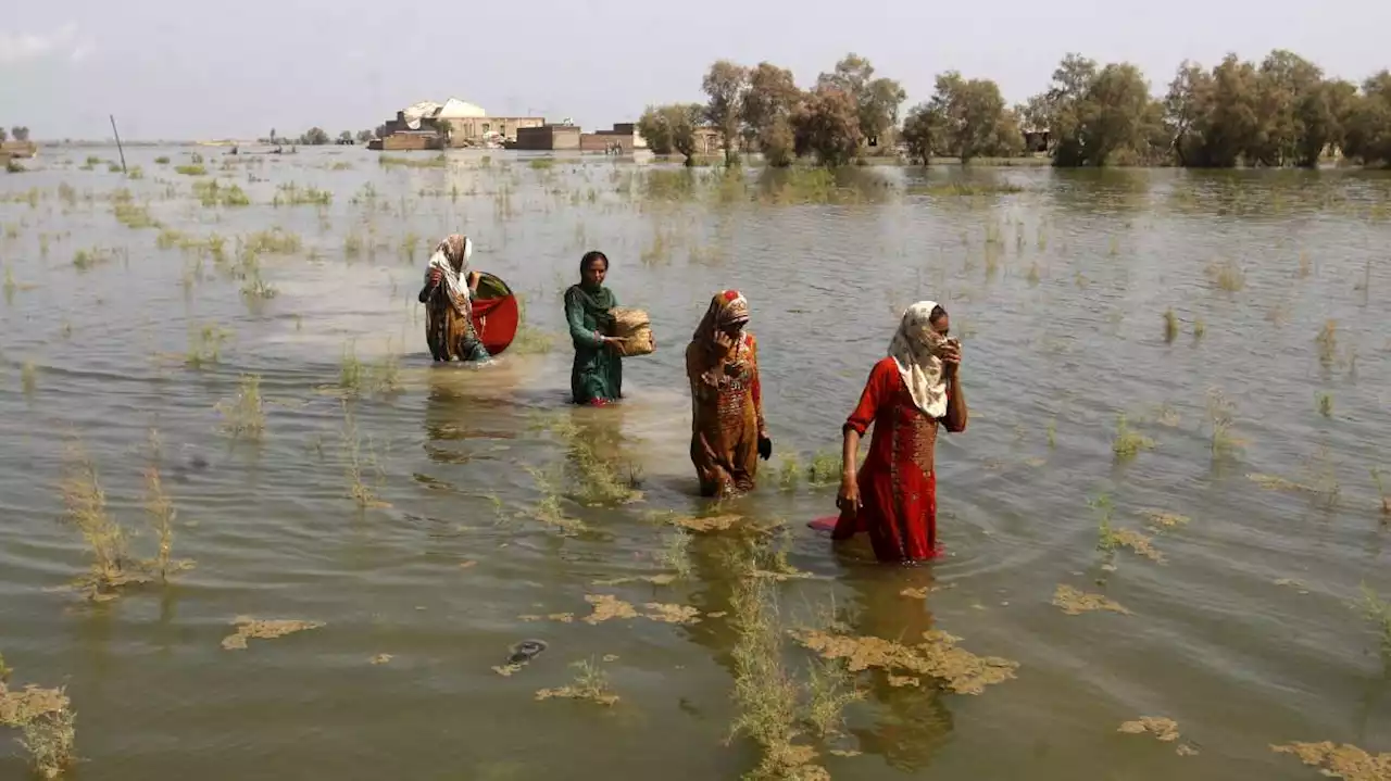 World on 'thin ice' as UN climate report gives stark warning