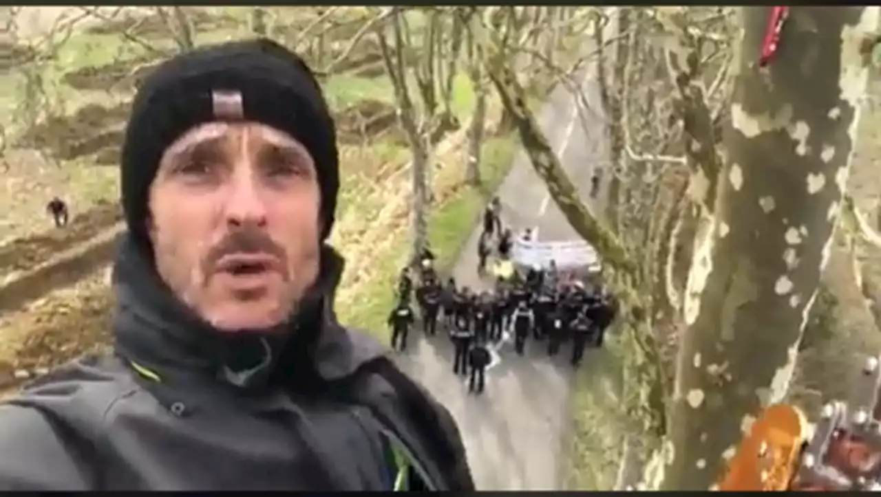 VIDEO. Autoroute A69 Toulouse-Castres : un militant s'accroche à un platane pour dénoncer l'abattage des arbres