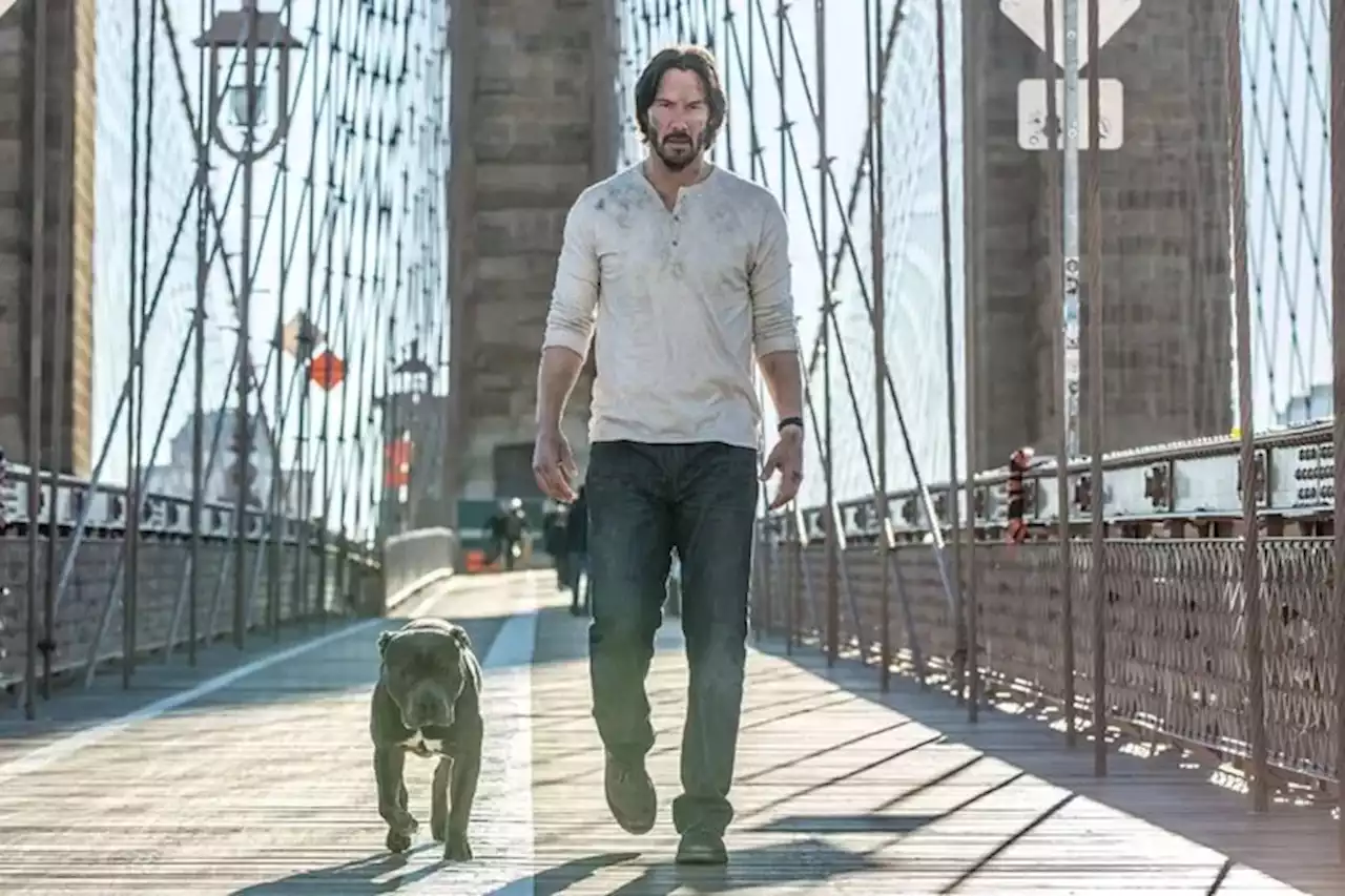 John Wick 2 ya no está disponible en Netflix: cuáles son los títulos que seguirán sus pasos