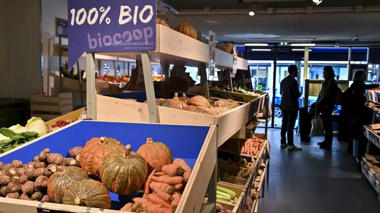 Pourquoi Biocoop espère profiter de l'inflation