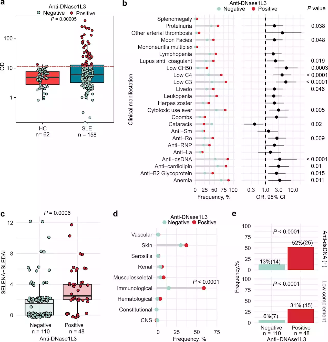 Researchers identify the origin of subset of autoantibodies that worsen lupus