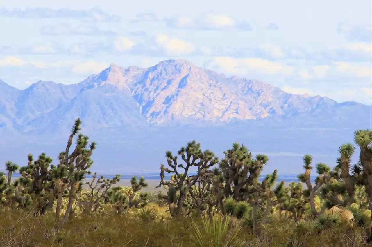 Biden establishes vast new national monument near Nevada-California border, honoring tribes