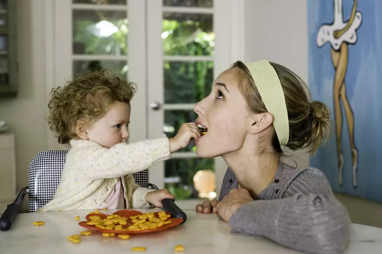 29 quick and healthy toddler meal ideas