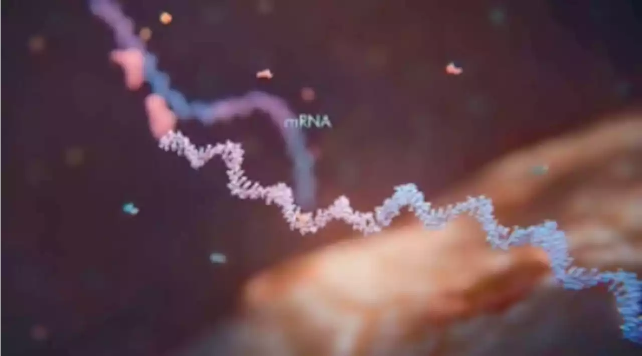 Big pharma craves slice of AI-based RNA drug discovery - Nature Biotechnology