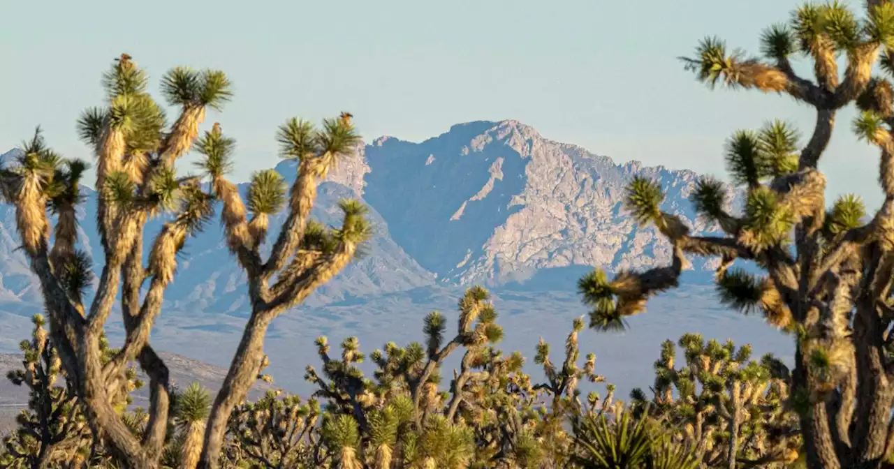 Biden to designate national monuments in Nevada and Texas