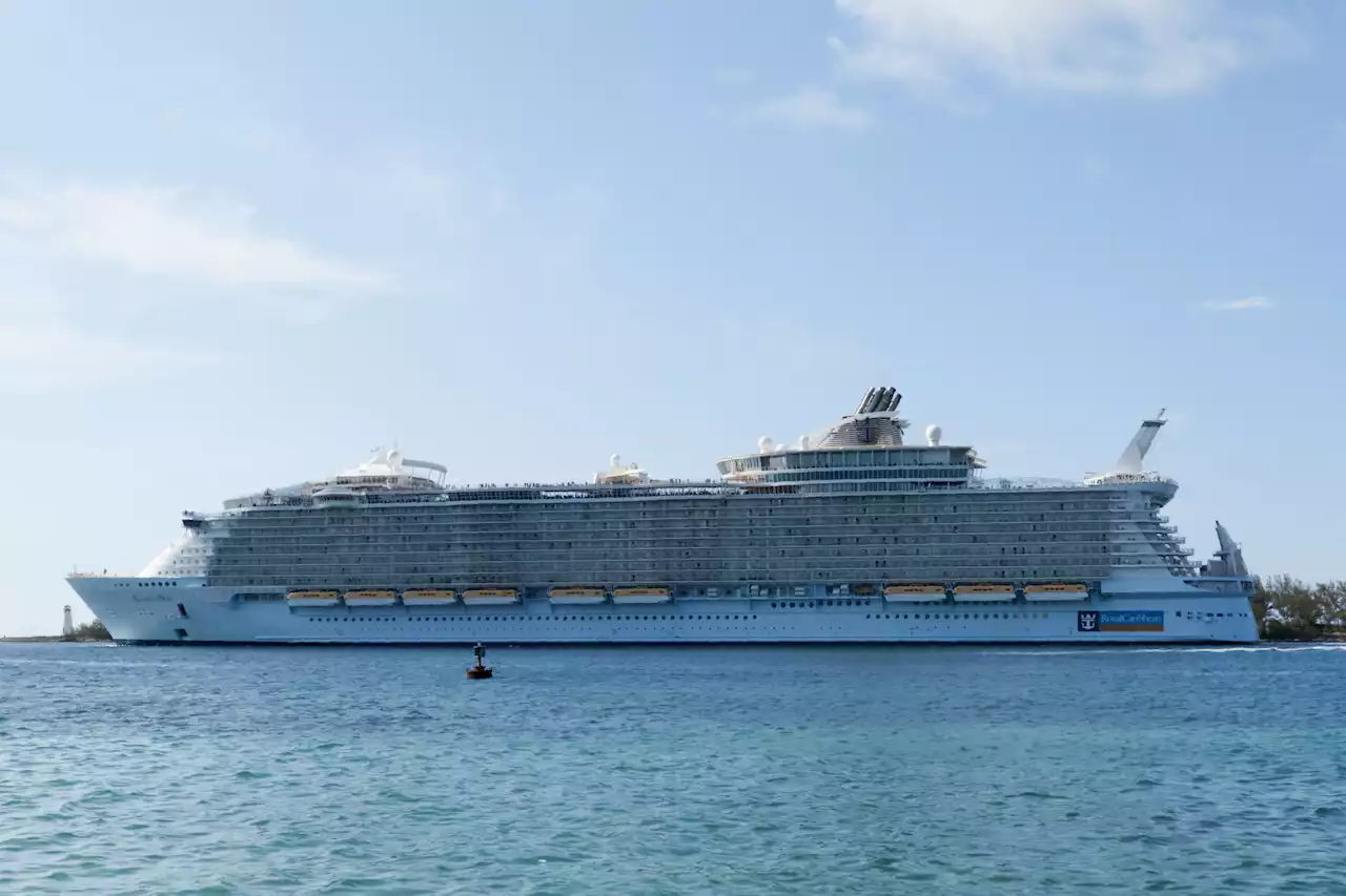 Cruise ship passenger dies after jump into water goes wrong