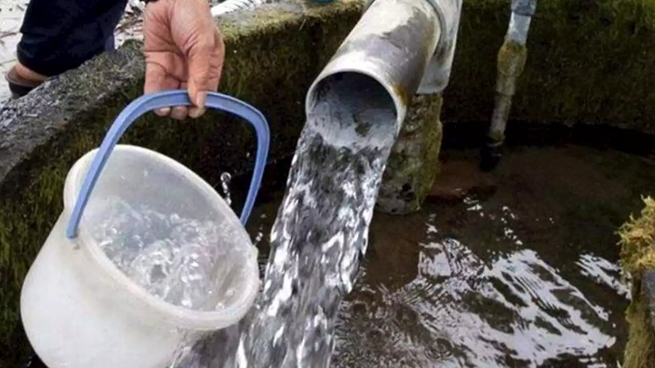 Científicos desarrollan un sistema de remoción de arsénico en agua para escuelas rurales de Chaco | Utiliza residuos agrícolas y nanomateriales