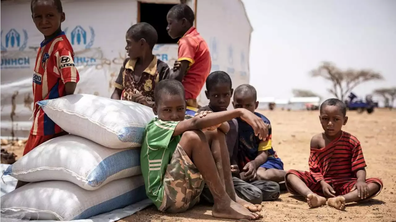 Sequía en Somalia: 43 mil personas, la mitad niños, murieron en 2022