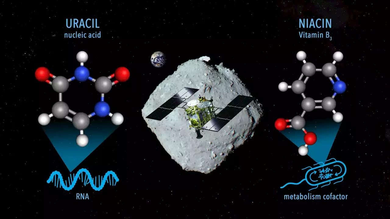 Component of RNA Found in Asteroid Ryugu Samples