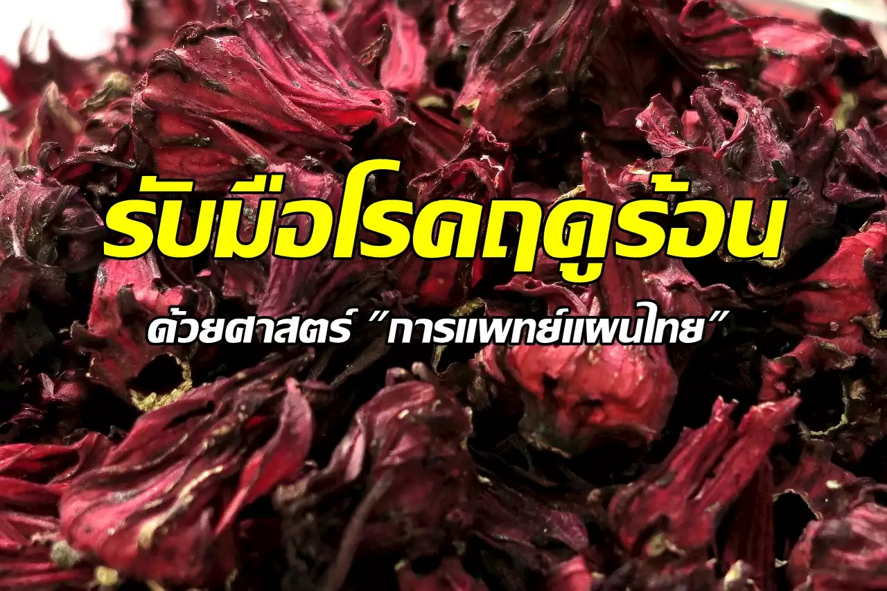 รับมือโรคฤดูร้อนด้วยศาสตร์ 'การแพทย์แผนไทย'