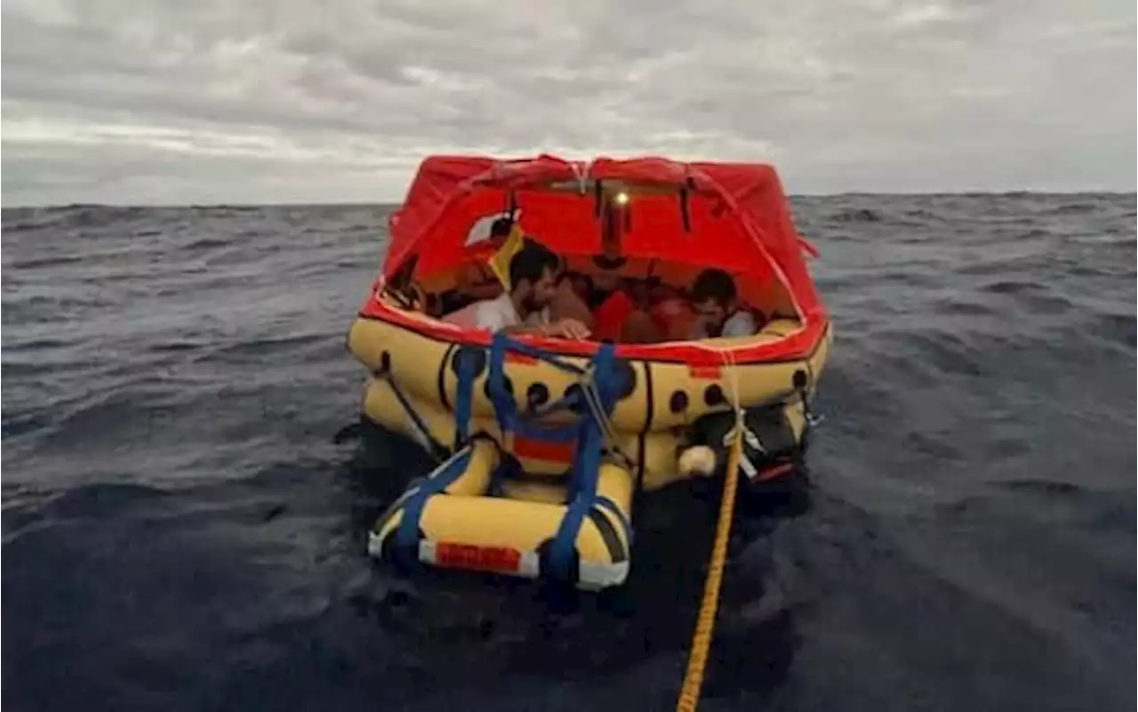 Barca a vela affondata da una balena nell'Oceano Pacifico