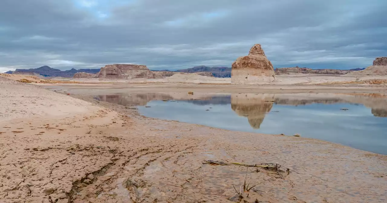 Dale Maharidge: The Colorado River is running dry, but nobody wants to talk about the mud