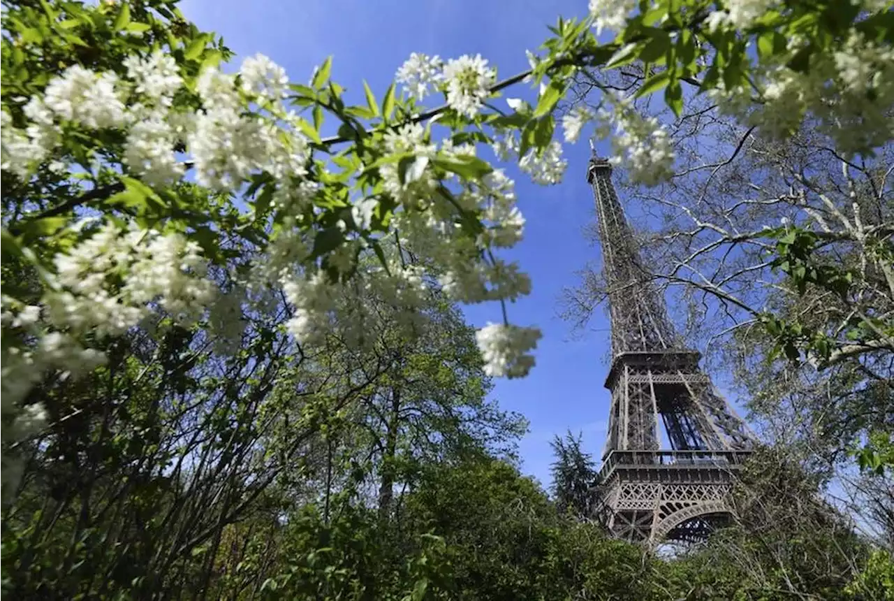 Réchauffement climatique : d’où vient le pouvoir rafraîchissant des arbres en ville ?