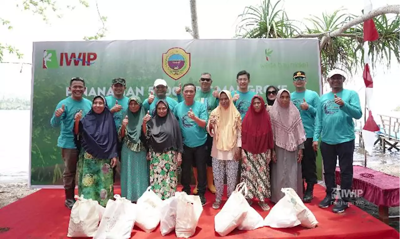 Kolaborasi IWIP dan Masyarakat Tanam Ribuan Bibit Mangrove