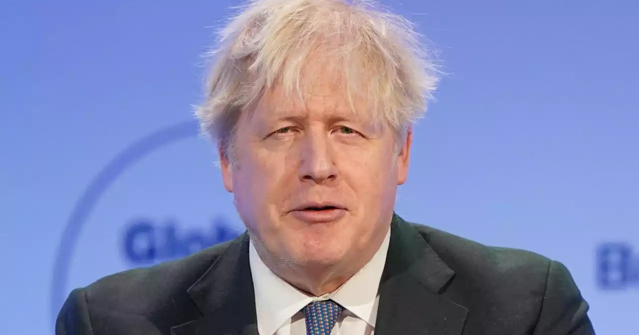 Boris Johnson comeback would badly damage Tory party's election chances, polling expert says