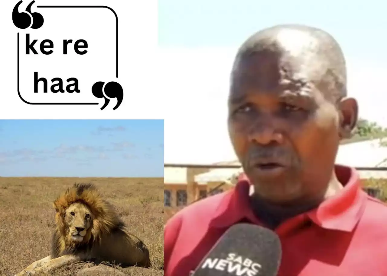 EISH WENA: South Africa best funny moments caught on Live TV [viral video]