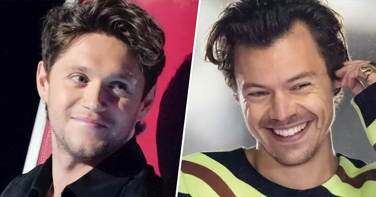 Watch Niall Horan beg a ‘Voice’ contestant to join his team after she sang a Harry Styles hit