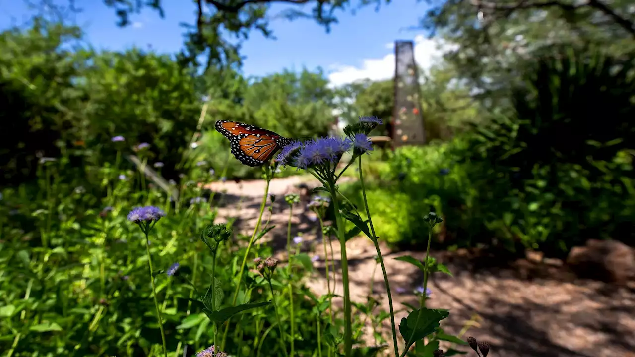 Tucson Botanical Gardens named one of the best in the nation