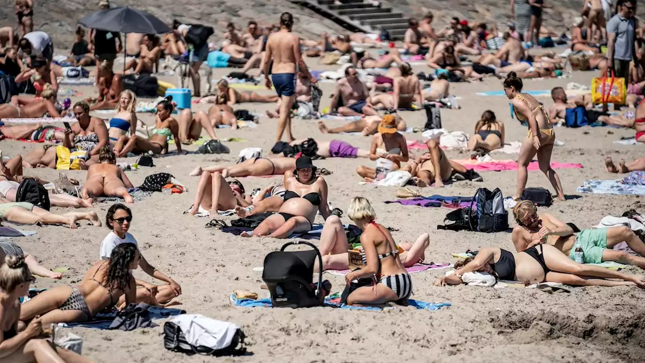 Varmere temperaturer og kortere skisæson – sådan mærker danskerne allerede klimaforandringerne