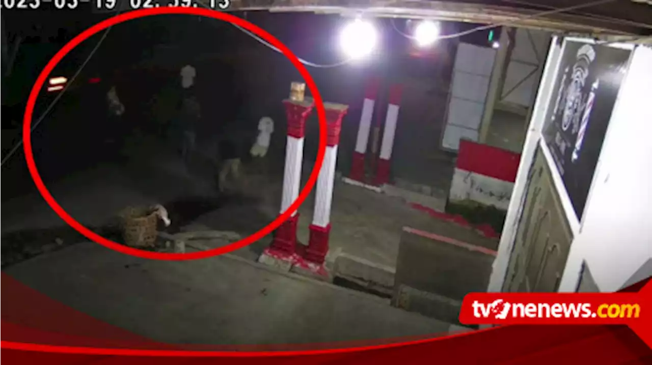 Terekam CCTV, Sejumlah Remaja Diduga Hendak Melakukan Tindak Kejahatan di Belawan