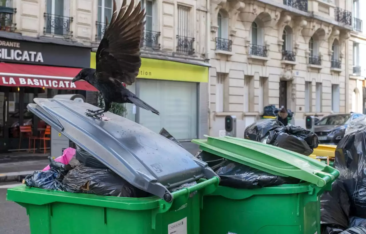 La grève des éboueurs à Paris reconduite jusqu’à lundi