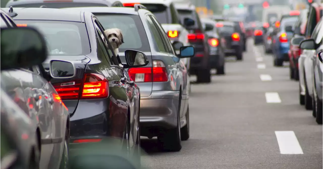 The money pinch facing more than half of Aussie drivers