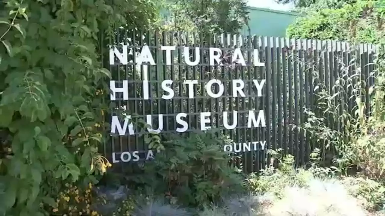 Natural History Museum of LA County offering free admission to LAUSD students amid strike