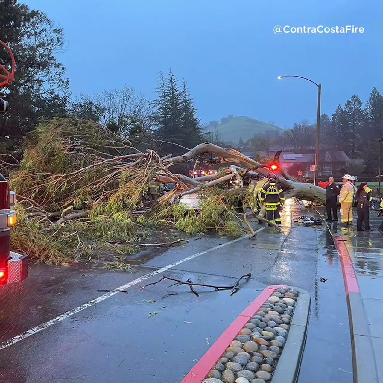 Live storm updates: At least 2 dead after strong winds topple trees, leave thousands without power