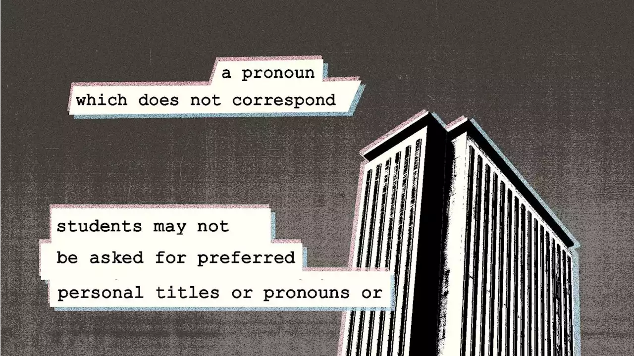 Florida Republicans target pronouns in schools