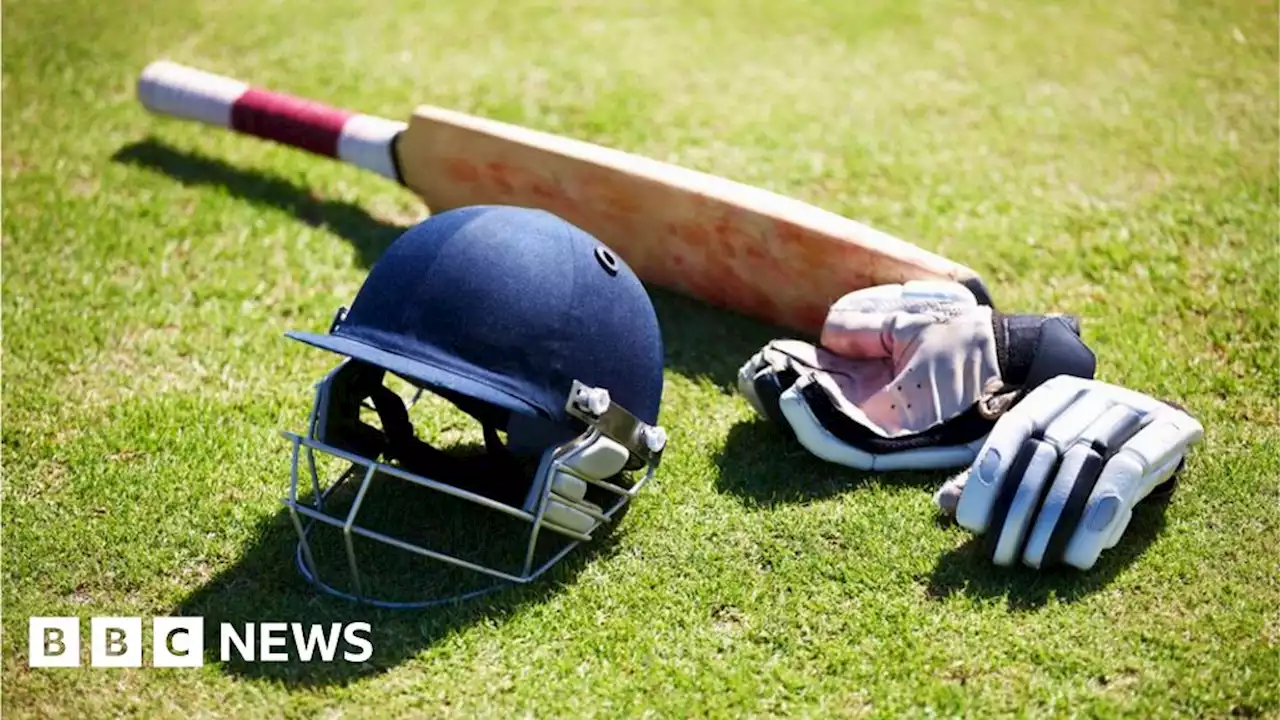 Cricket Scotland criticised over 'progress' claims