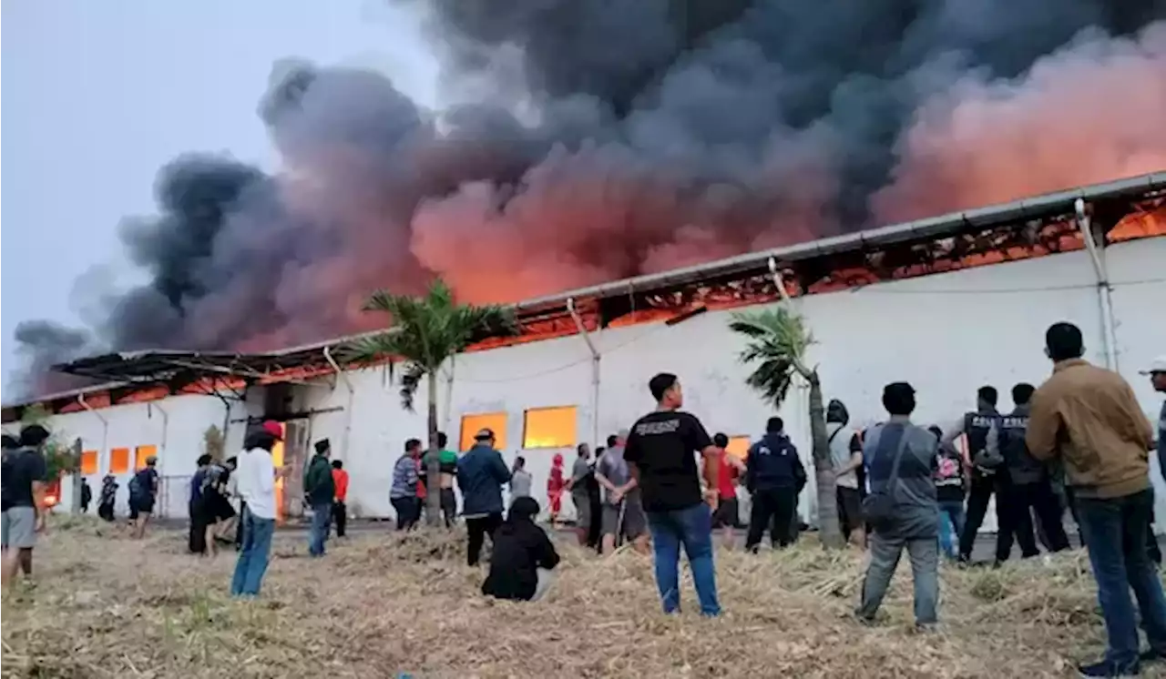 Gudang Shopee di Tangerang Ludes Terbakar