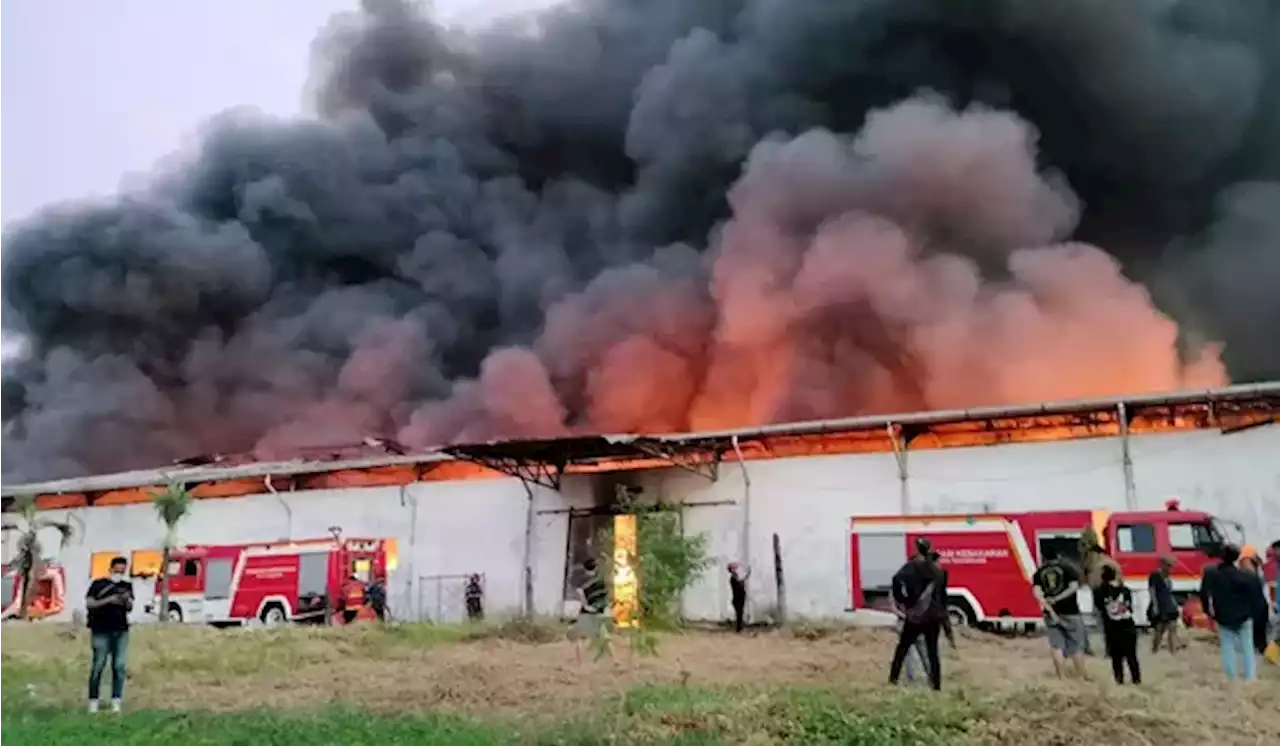 Gudang yang Terbakar di Tangerang Bukan Milik Shopee, tetapi Goto Living