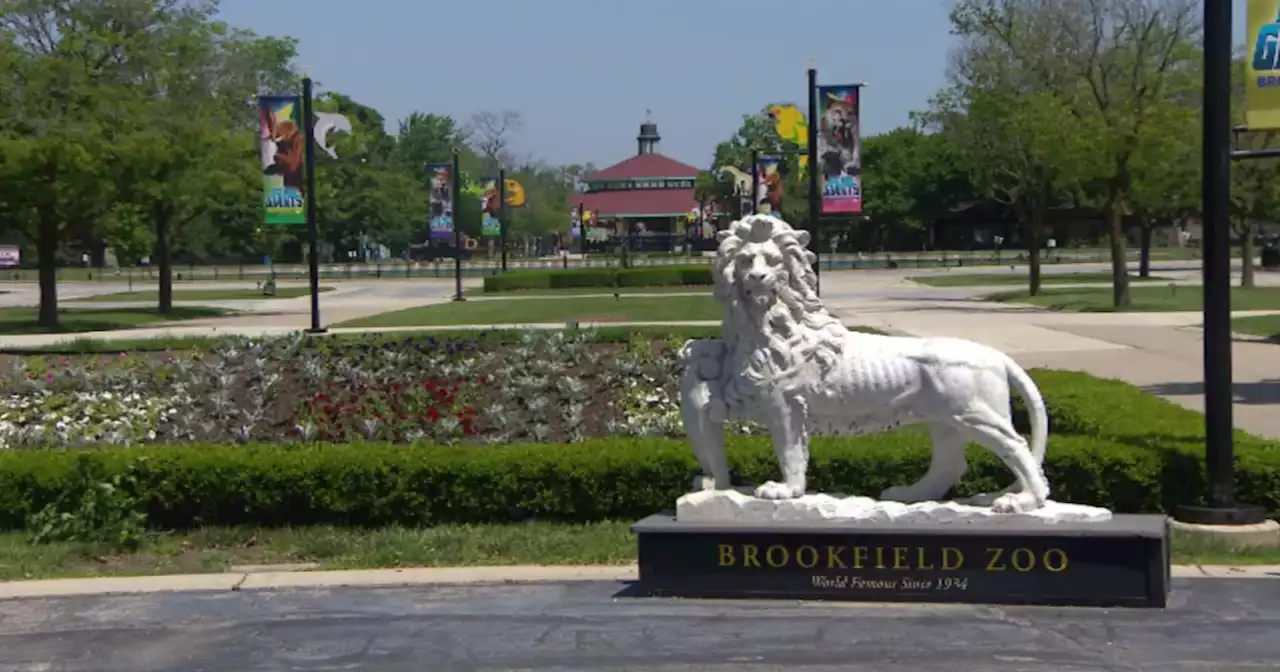 Brookfield Zoo ranked 5th best in USA Today's 10Best Readers' Choice Awards