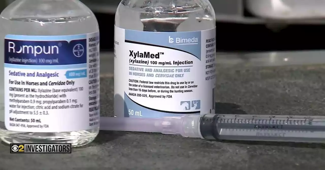 Deaths due to veterinary tranquilizer xylazine on the rise in Chicago