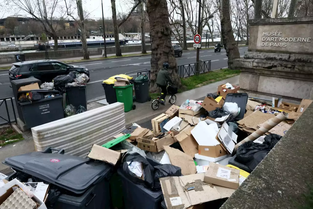 «Opération Christophe Maé» : quel est ce collectif qui attache les poubelles parisiennes entre elles ?