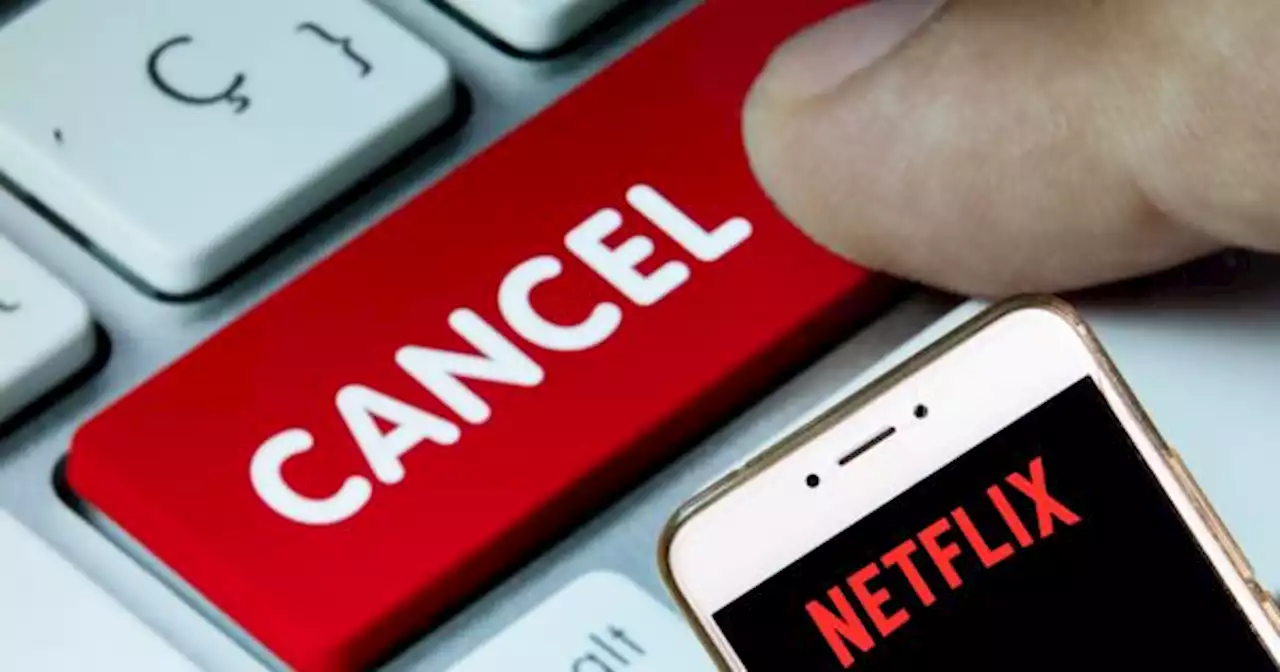 Volvi� la alternativa a Netflix que es gratis y tiene m�s de 7000 canales