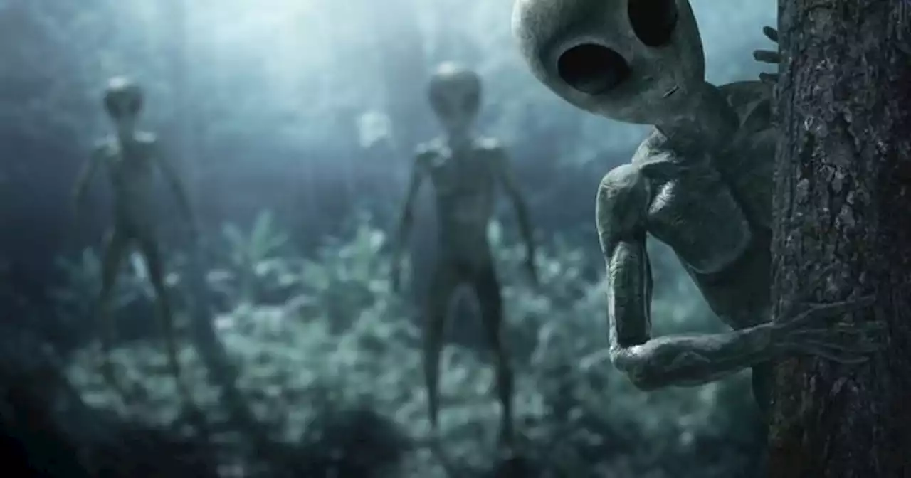 'Time traveller' claims hostile aliens will invade Earth tomorrow