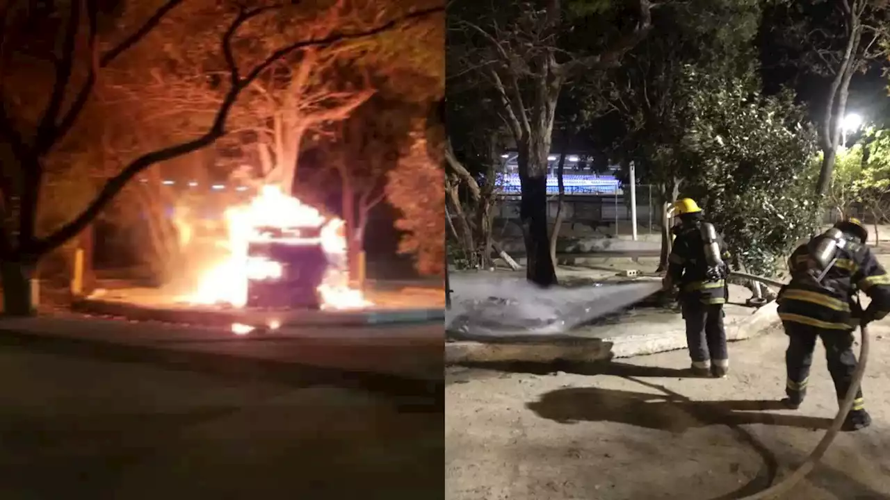 Queman vivos a varios gatos abandonados en polideportivo de Santa Marta